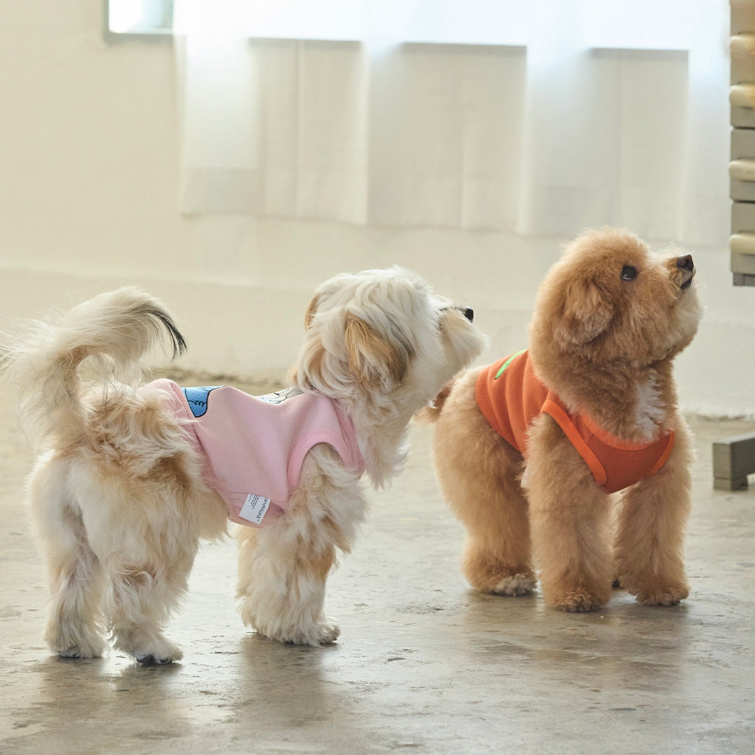 ※予約販売【andblank】Jelly Phant Western Sleeveless（Pink）