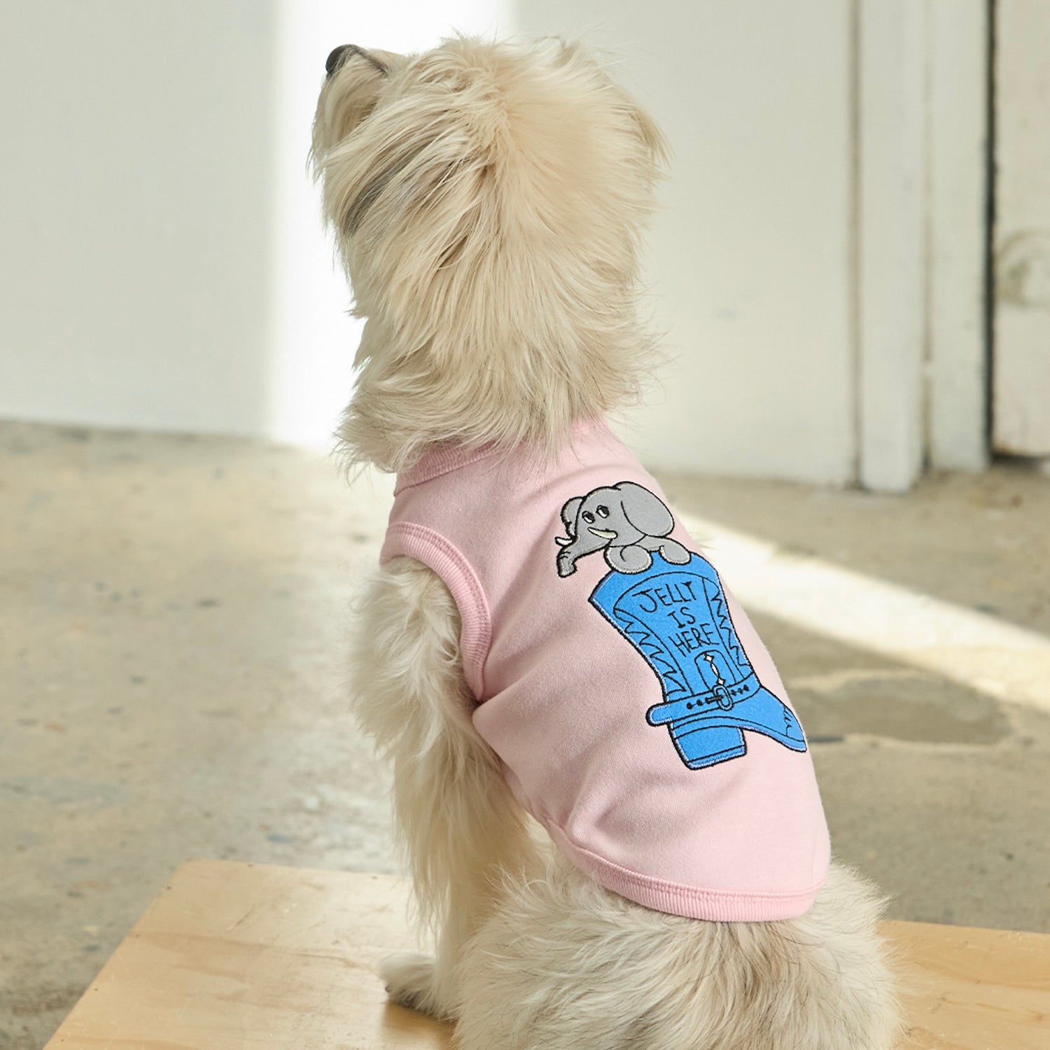 ※予約販売【andblank】Jelly Phant Western Sleeveless（Pink）