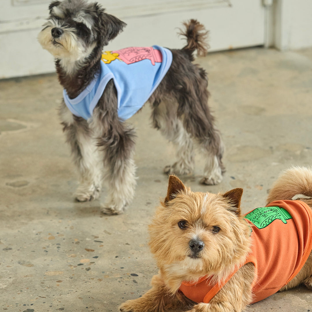 ※予約販売【andblank】Joy Bear Western Sleeveless（Sky Blue）