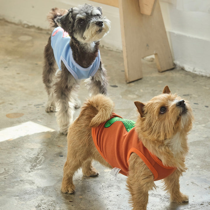 ※予約販売【andblank】Lazy Crocodile Western Sleeveless（Brick）