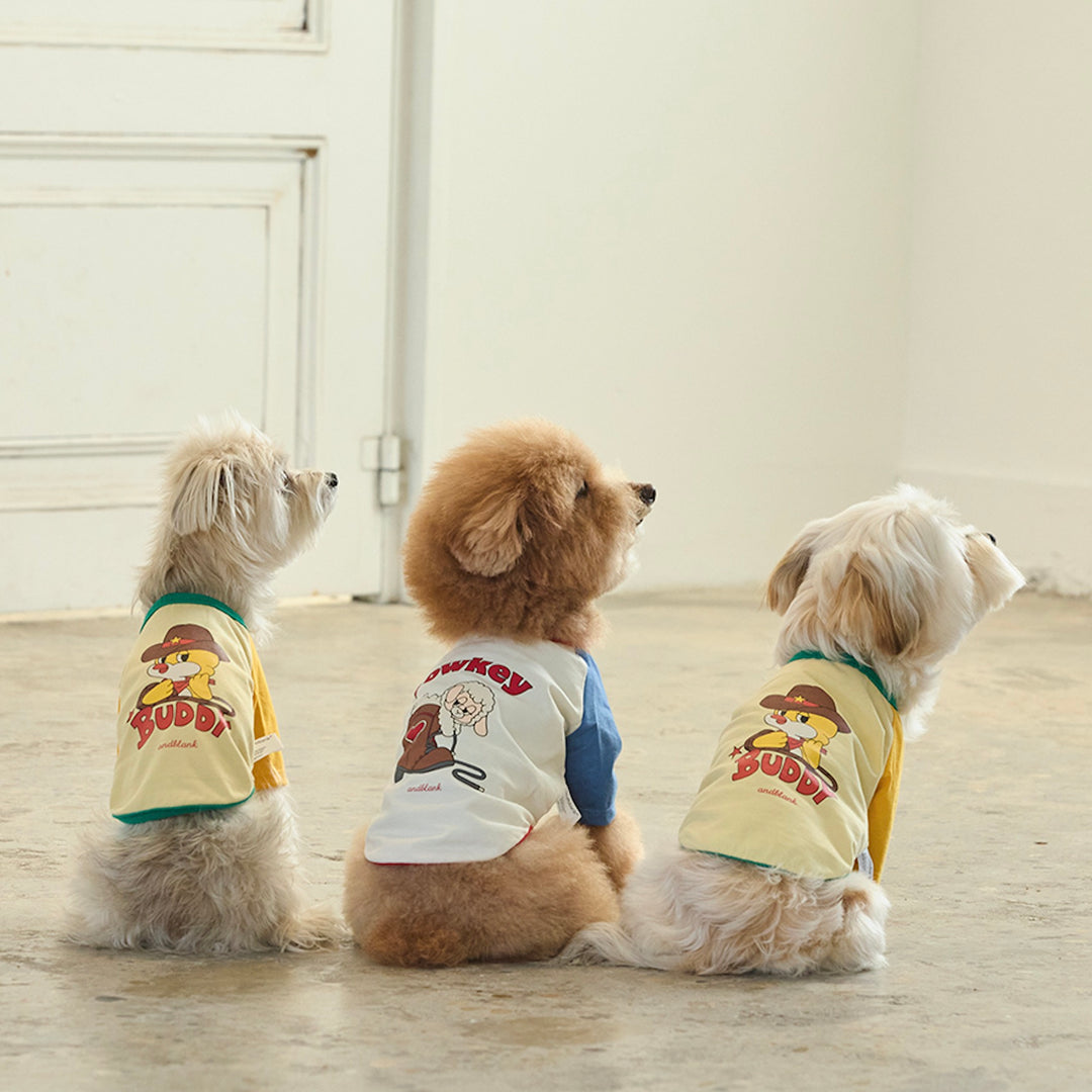 ※予約販売【andblank】Pico Raglan T-Shirt