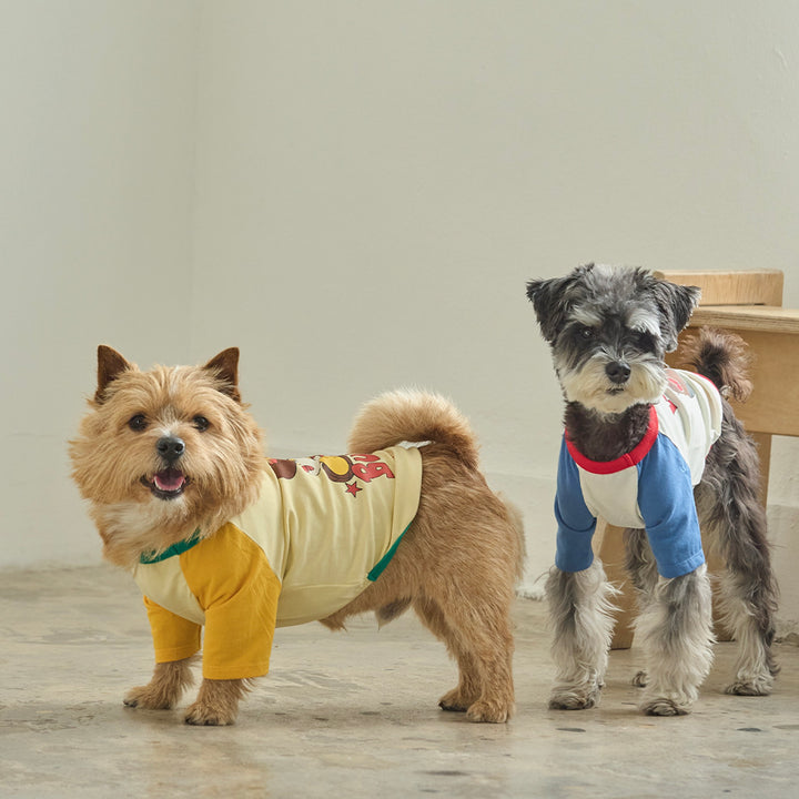 ※予約販売【andblank】Pico Raglan T-Shirt