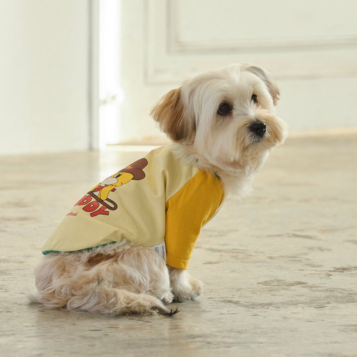 ※予約販売【andblank】Pico Raglan T-Shirt