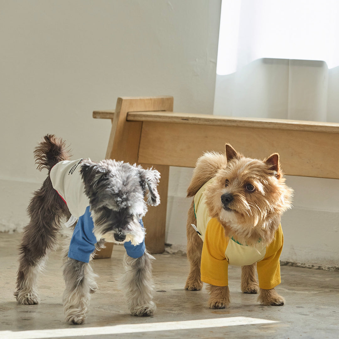 ※予約販売【andblank】Pico Raglan T-Shirt