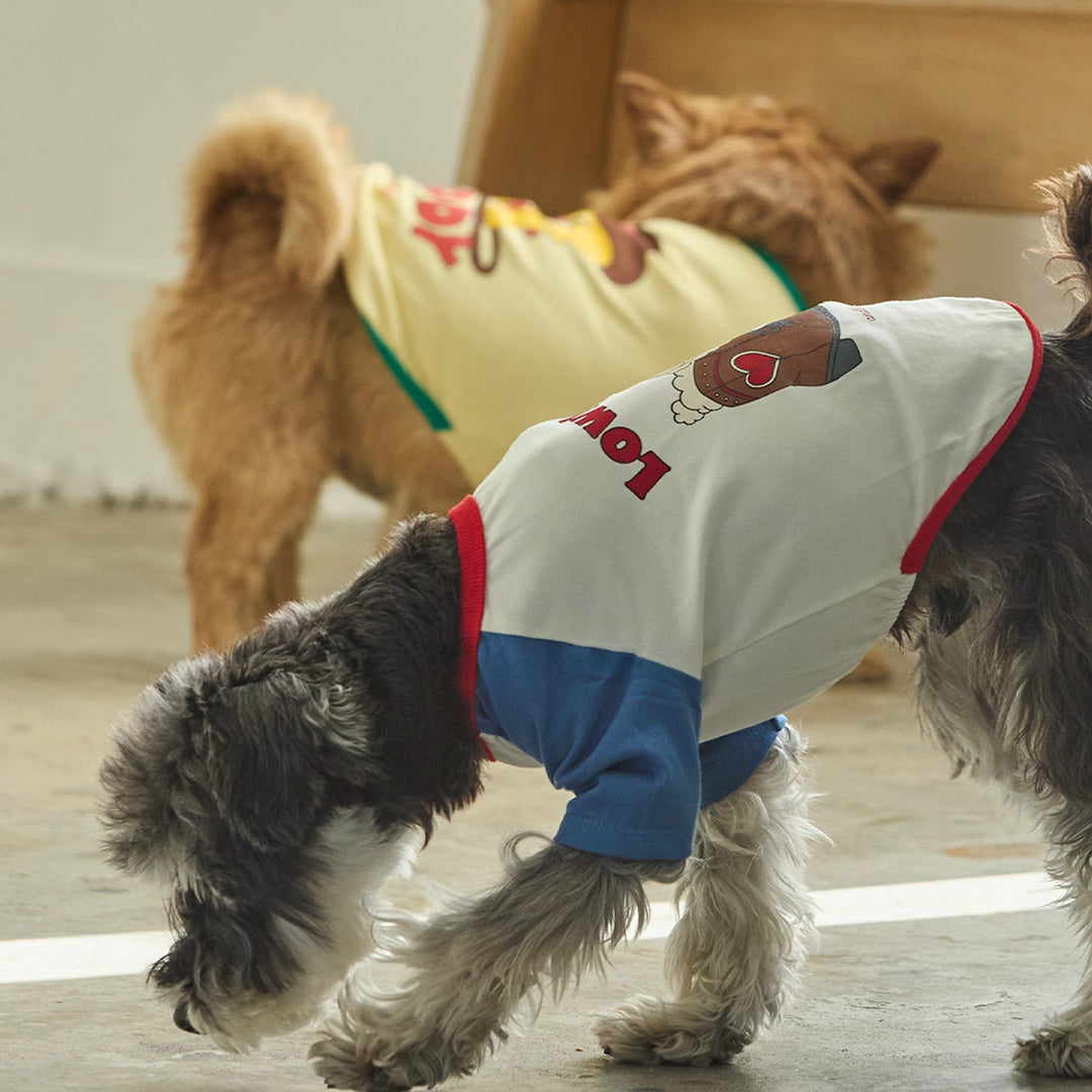 ※予約販売【andblank】Pico Raglan T-Shirt