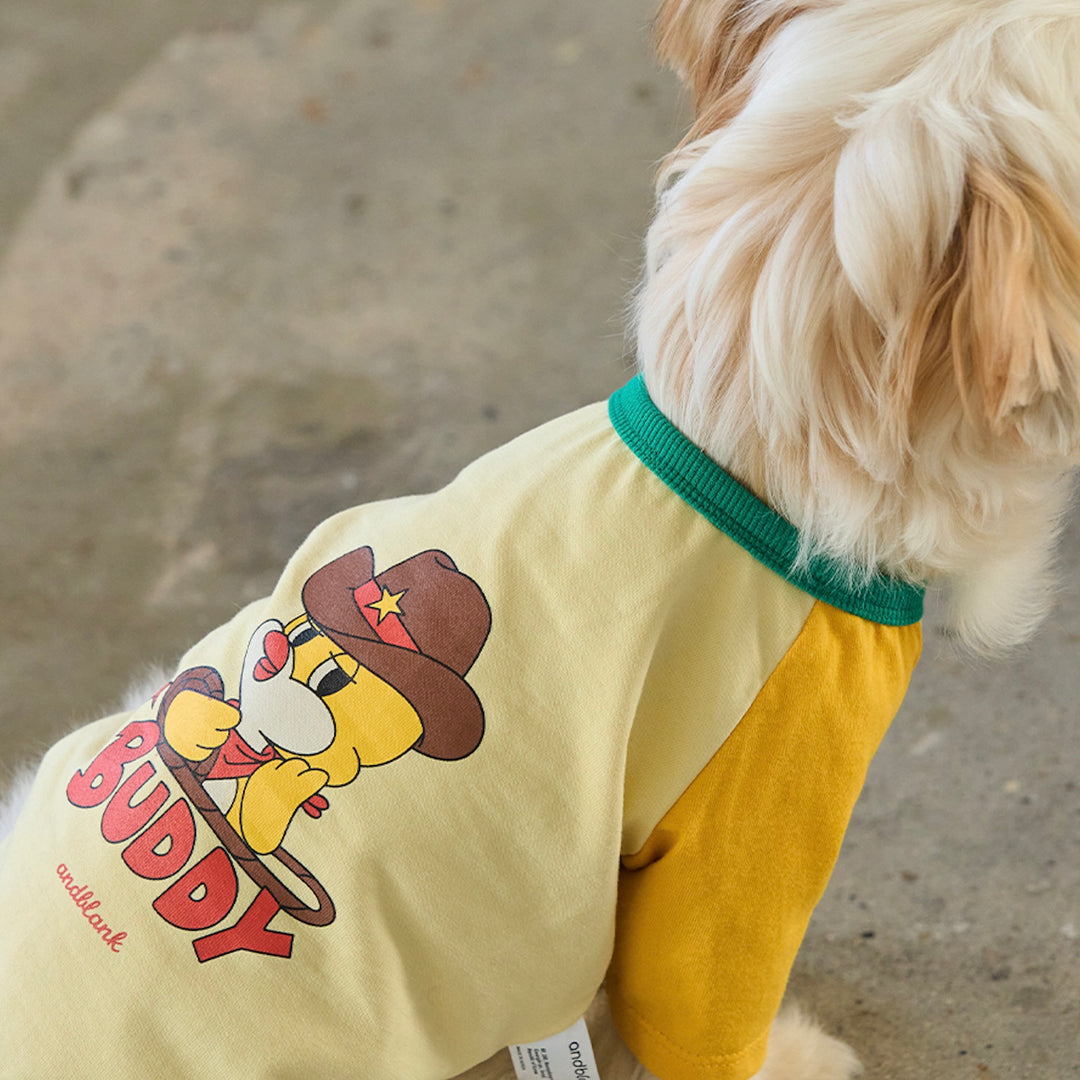 ※予約販売【andblank】Pico Raglan T-Shirt