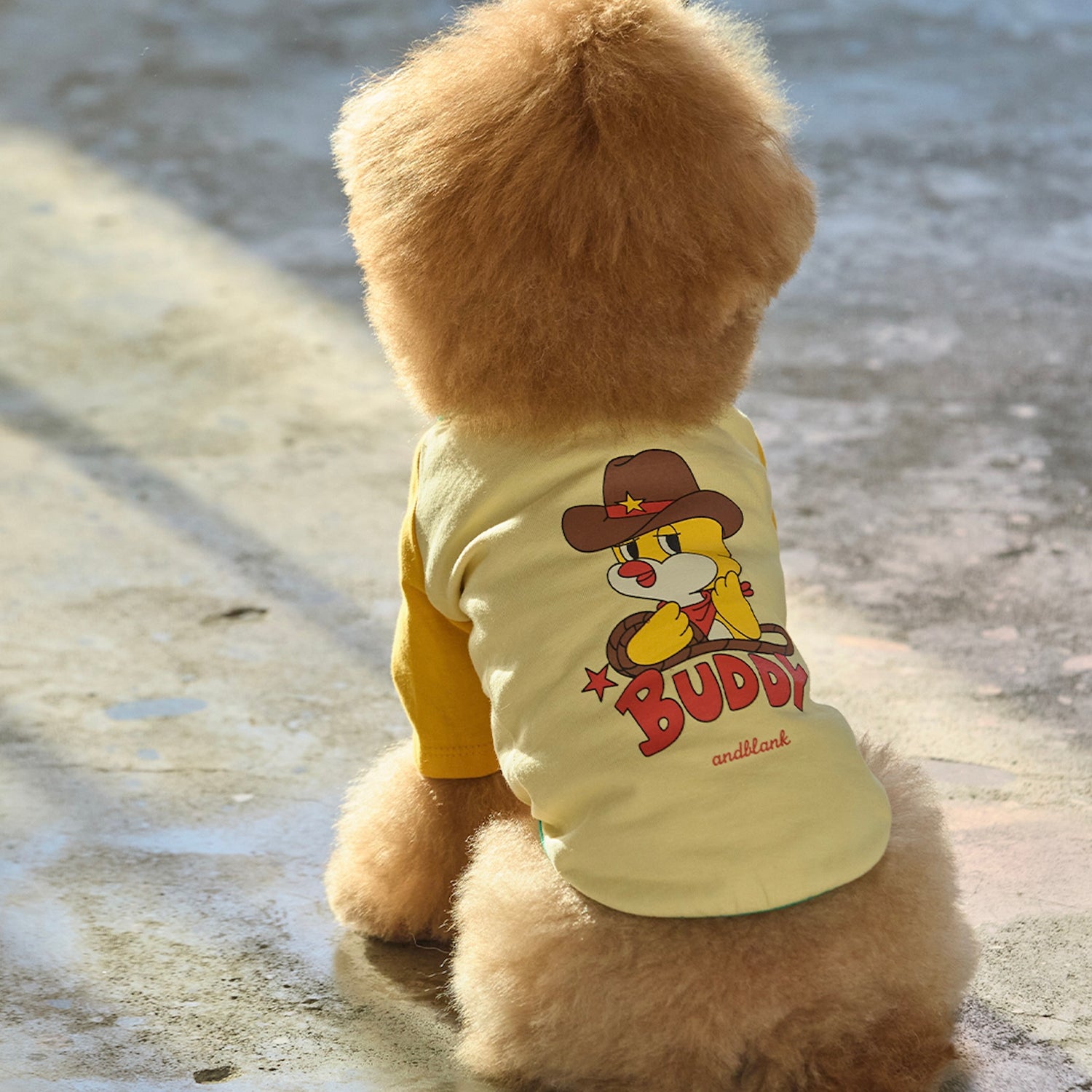 ※予約販売【andblank】Pico Raglan T-Shirt