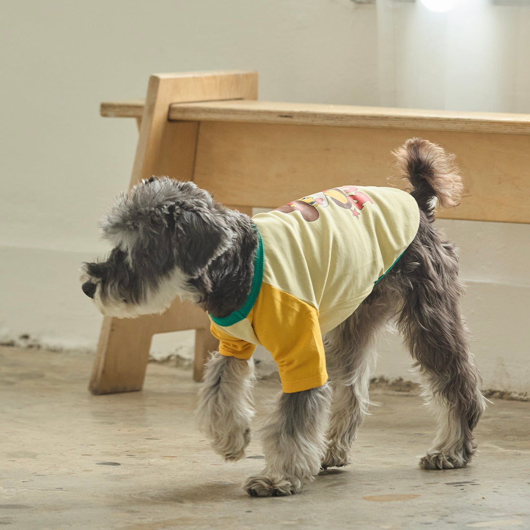 ※予約販売【andblank】Pico Raglan T-Shirt