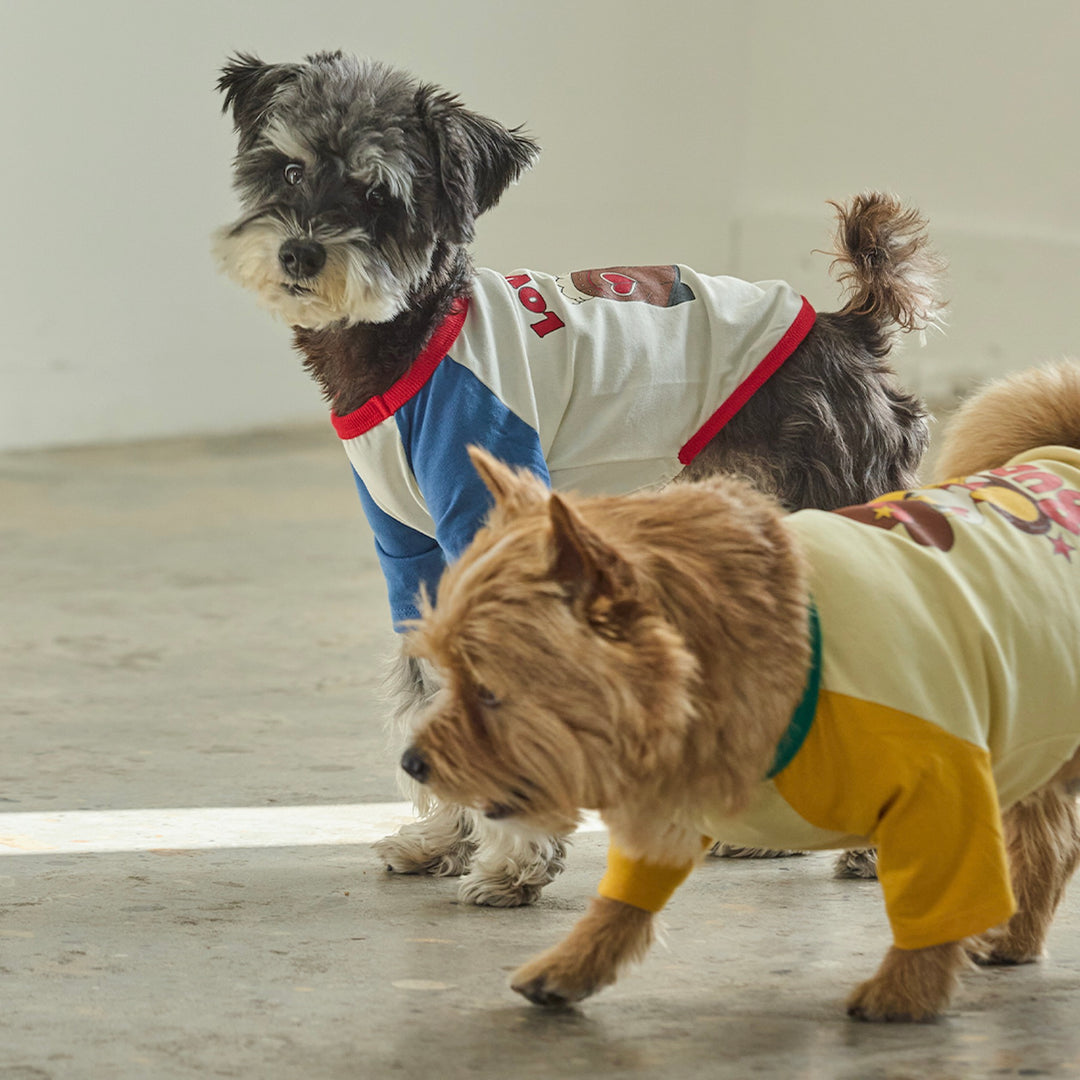 ※予約販売【andblank】Pico Raglan T-Shirt