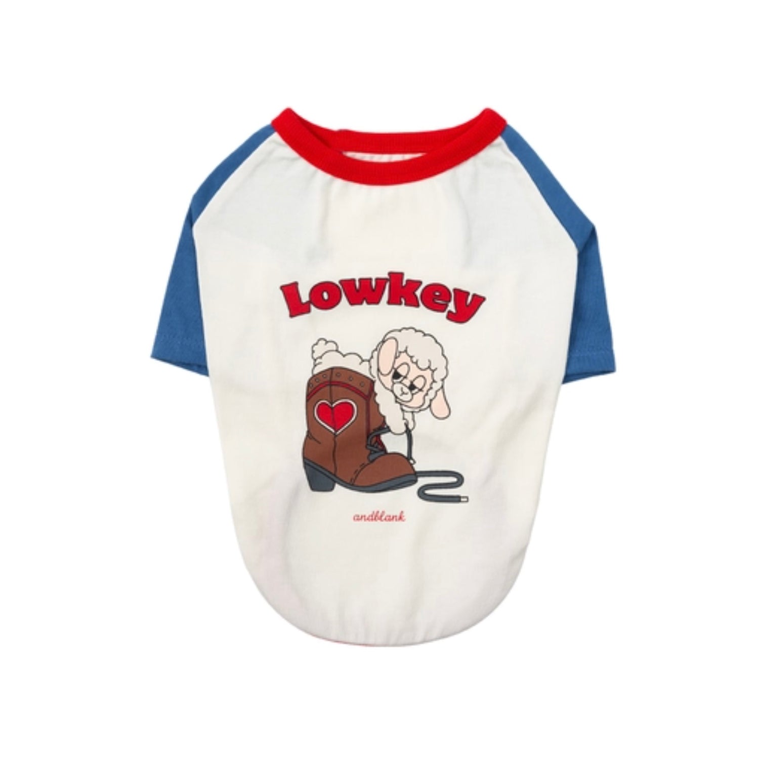 ※予約販売【andblank】Woolie Raglan T-Shirt