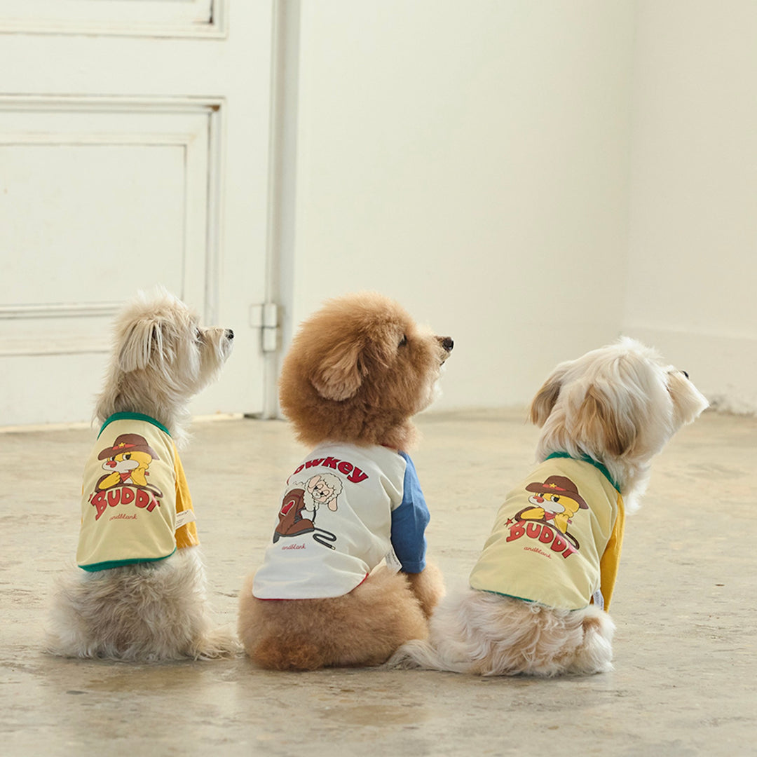 ※予約販売【andblank】Woolie Raglan T-Shirt