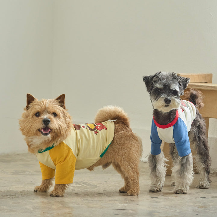 ※予約販売【andblank】Woolie Raglan T-Shirt