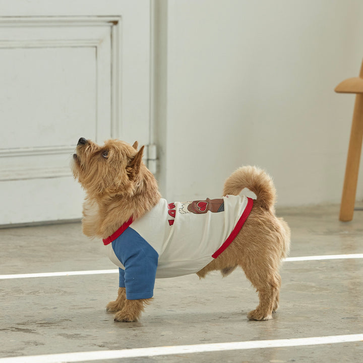 ※予約販売【andblank】Woolie Raglan T-Shirt