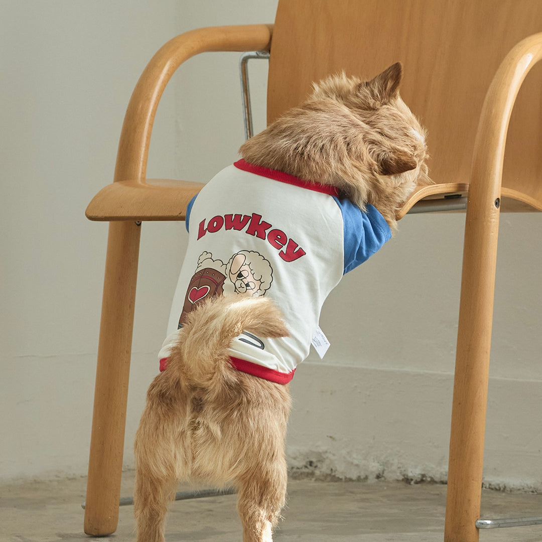 ※予約販売【andblank】Woolie Raglan T-Shirt