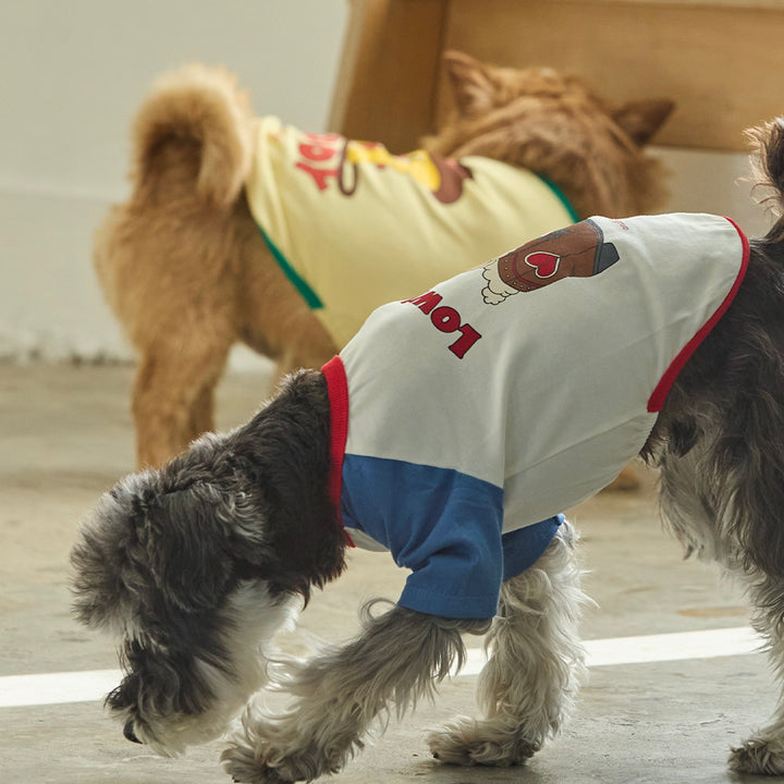 ※予約販売【andblank】Woolie Raglan T-Shirt