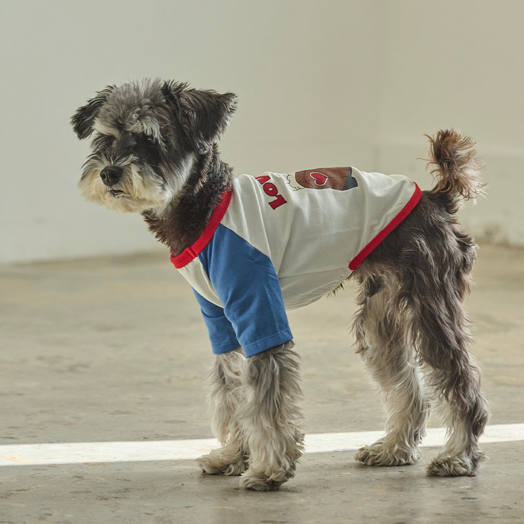 ※予約販売【andblank】Woolie Raglan T-Shirt