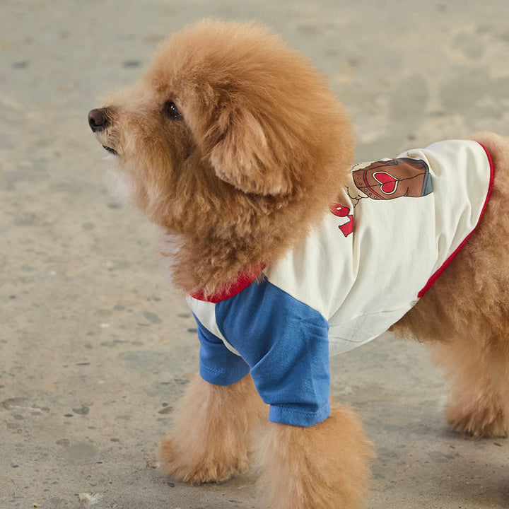 ※予約販売【andblank】Woolie Raglan T-Shirt