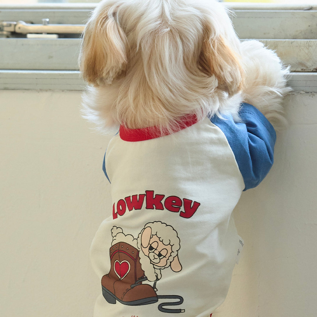 ※予約販売【andblank】Woolie Raglan T-Shirt