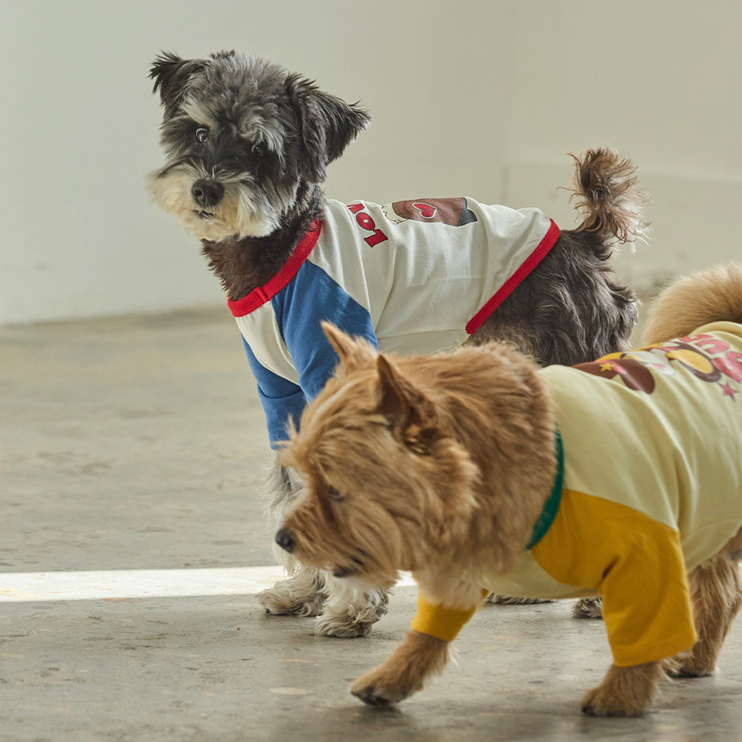 ※予約販売【andblank】Woolie Raglan T-Shirt