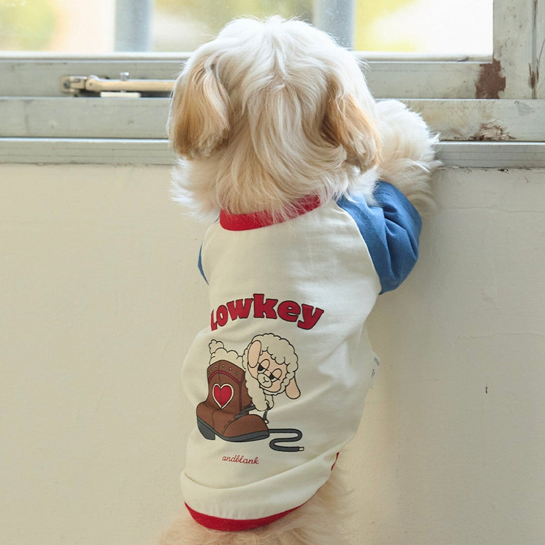 ※予約販売【andblank】Woolie Raglan T-Shirt