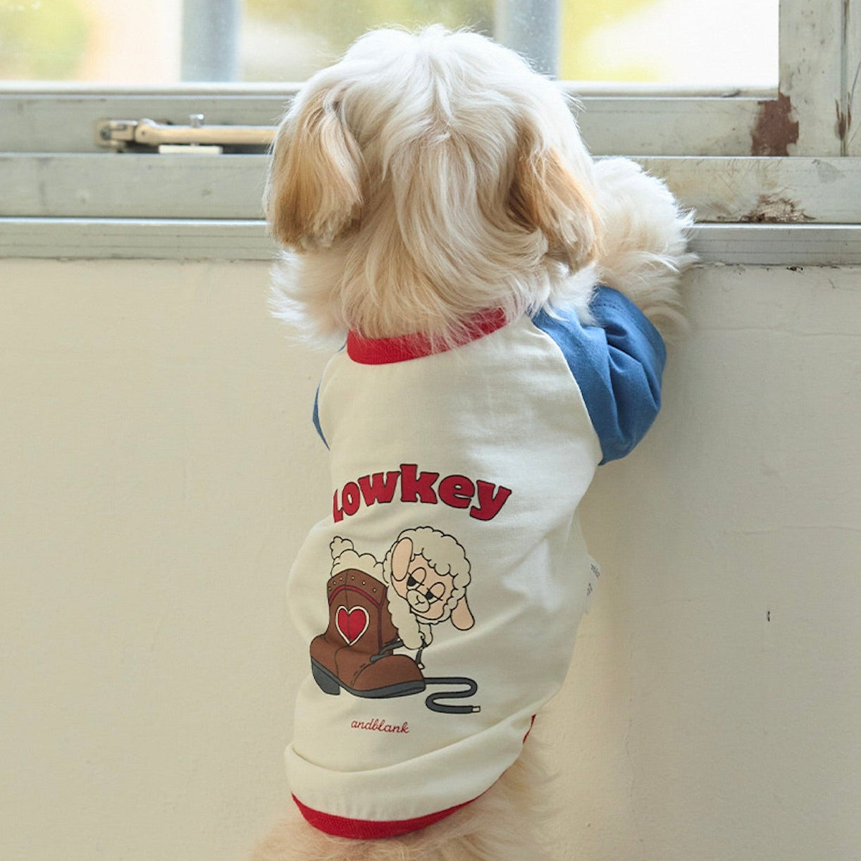 ※予約販売【andblank】Woolie Raglan T-Shirt