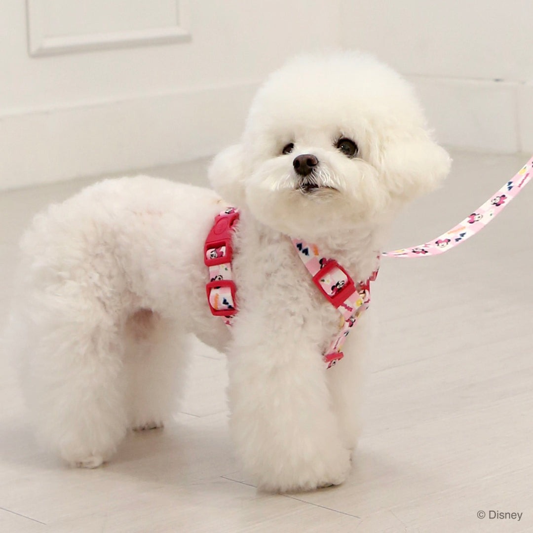 即納【ITS DOG】Disney Comfort H-type Harness｜犬用ハーネス