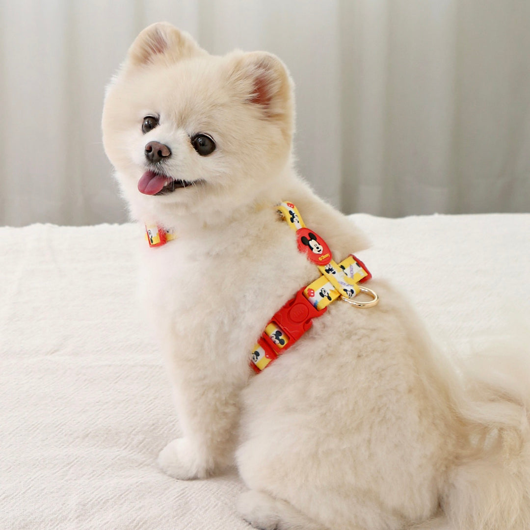 即納【ITS DOG】Disney Comfort H-type Harness｜犬用ハーネス