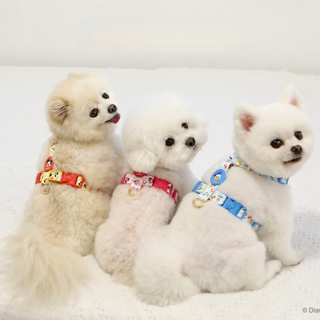 即納【ITS DOG】Disney Comfort H-type Harness｜犬用ハーネス
