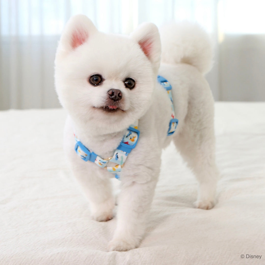 即納【ITS DOG】Disney Comfort H-type Harness｜犬用ハーネス