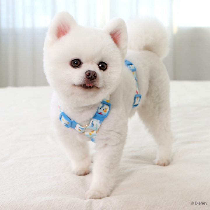 即納【ITS DOG】Disney Comfort H-type Harness｜犬用ハーネス