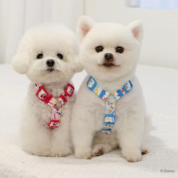 即納【ITS DOG】Disney Comfort H-type Harness｜犬用ハーネス