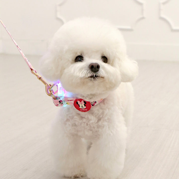 即納【ITS DOG】Disney Comfort LED Collar