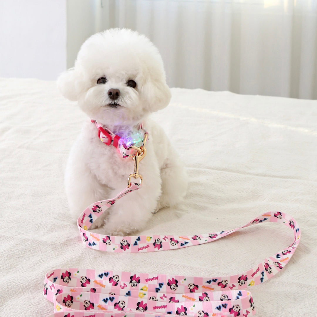 即納【ITS DOG】Disney Comfort LED Collar