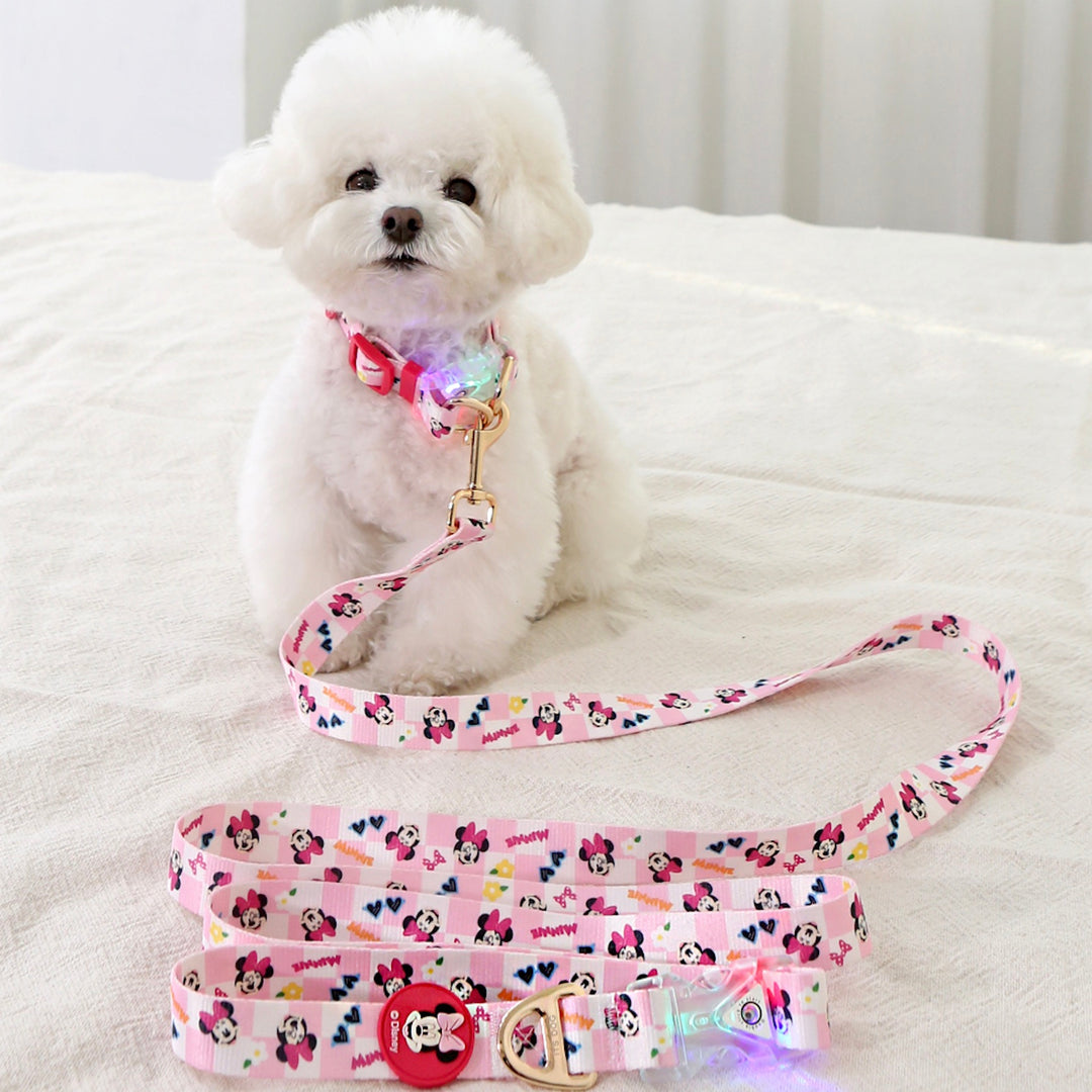 ※予約販売【ITS DOG】Disney Hands-Free LED Leash