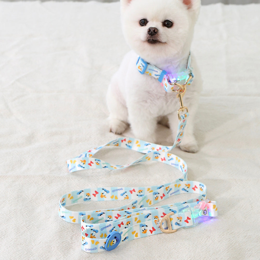 ※予約販売【ITS DOG】Disney Hands-Free LED Leash