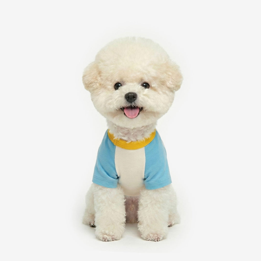 ※予約販売【TUSTUS】Block raglan tee（Blue）