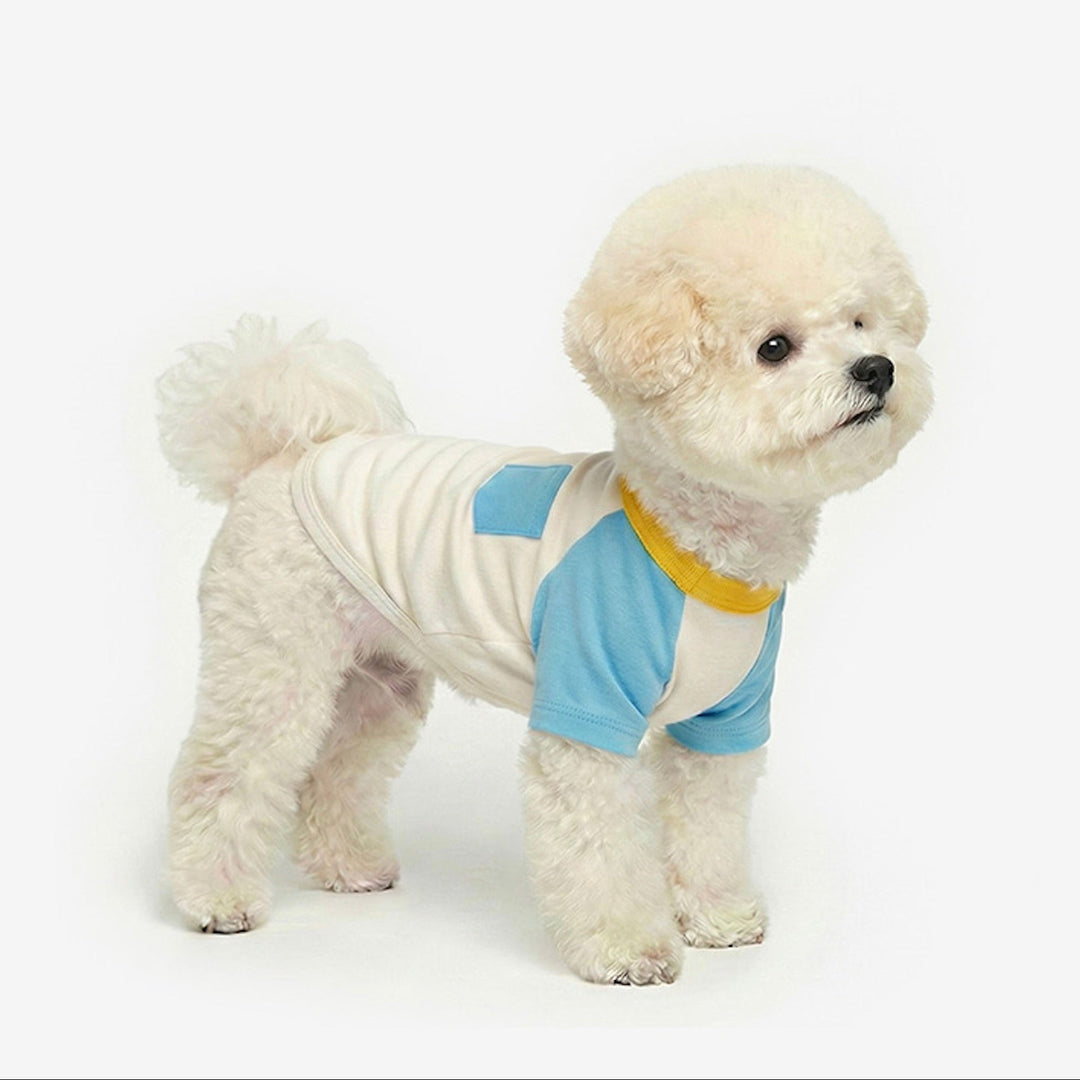 ※予約販売【TUSTUS】Block raglan tee（Blue）