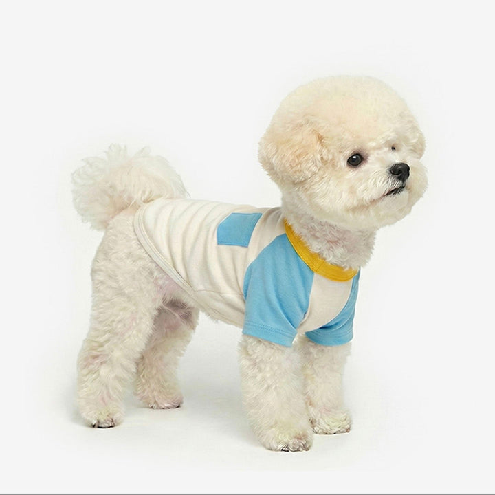 ※予約販売【TUSTUS】Block raglan tee（Blue）