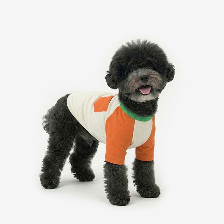 ※予約販売【TUSTUS】Block raglan tee（Orange）