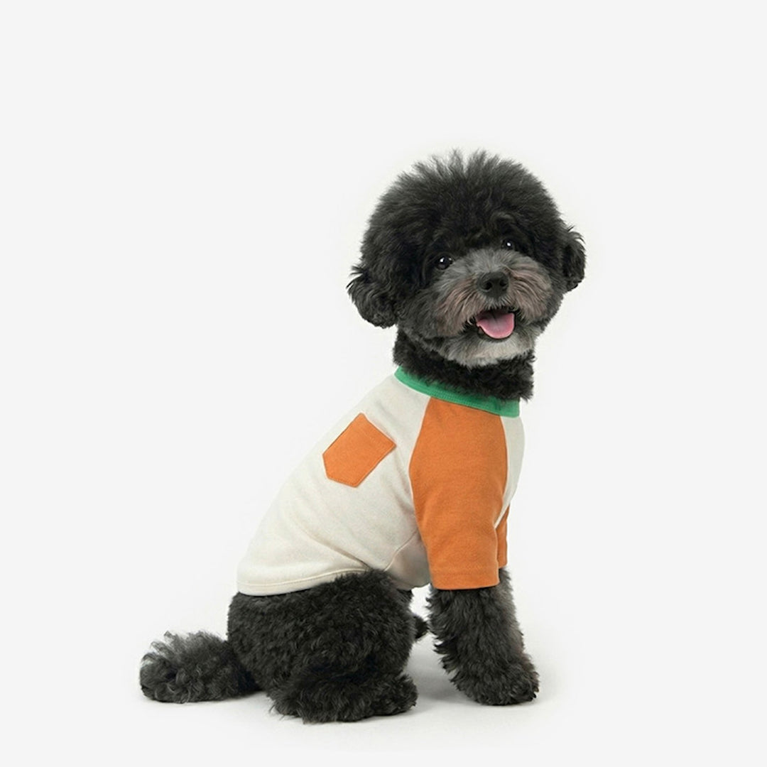 ※予約販売【TUSTUS】Block raglan tee（Orange）