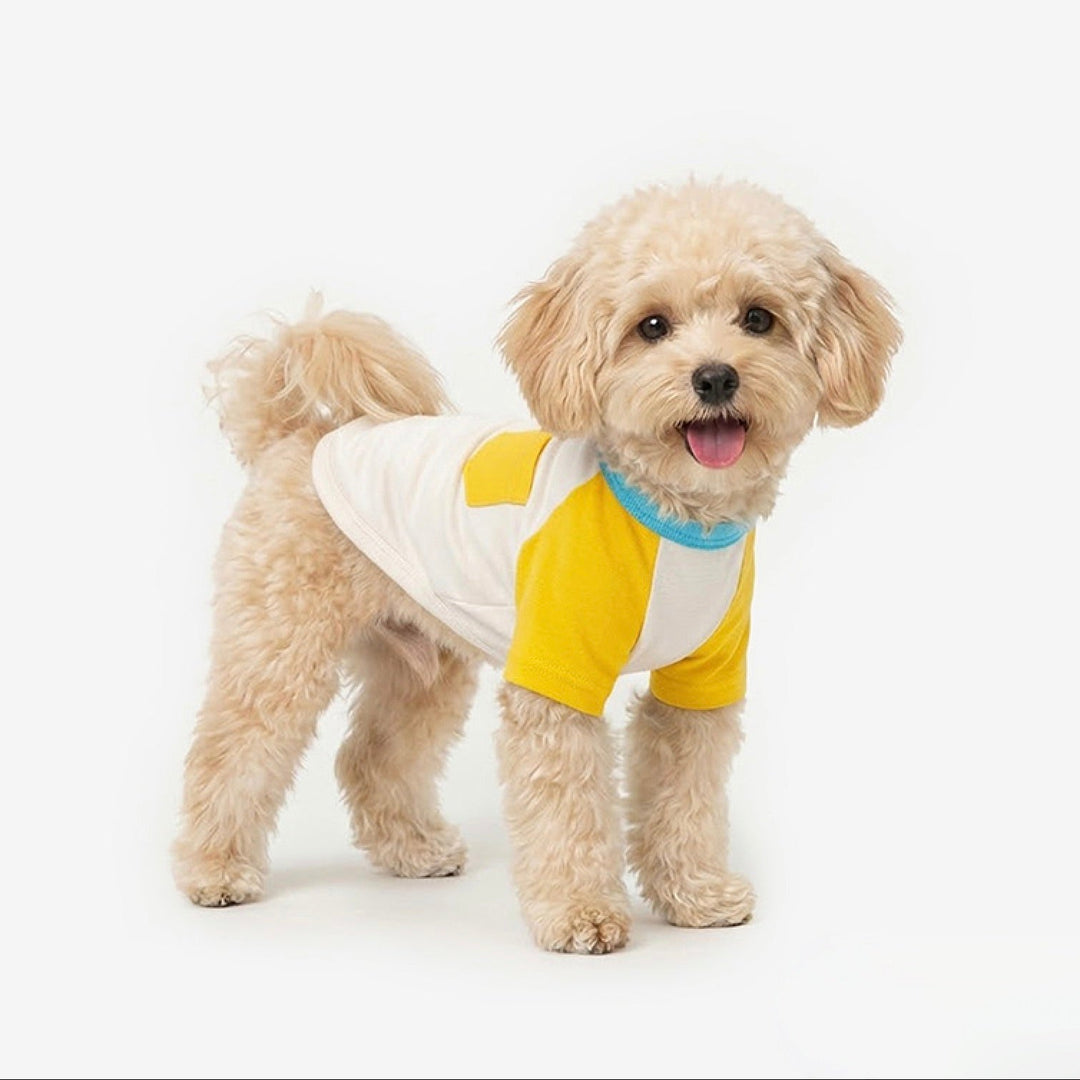 ※予約販売【TUSTUS】Block raglan tee（Yellow）