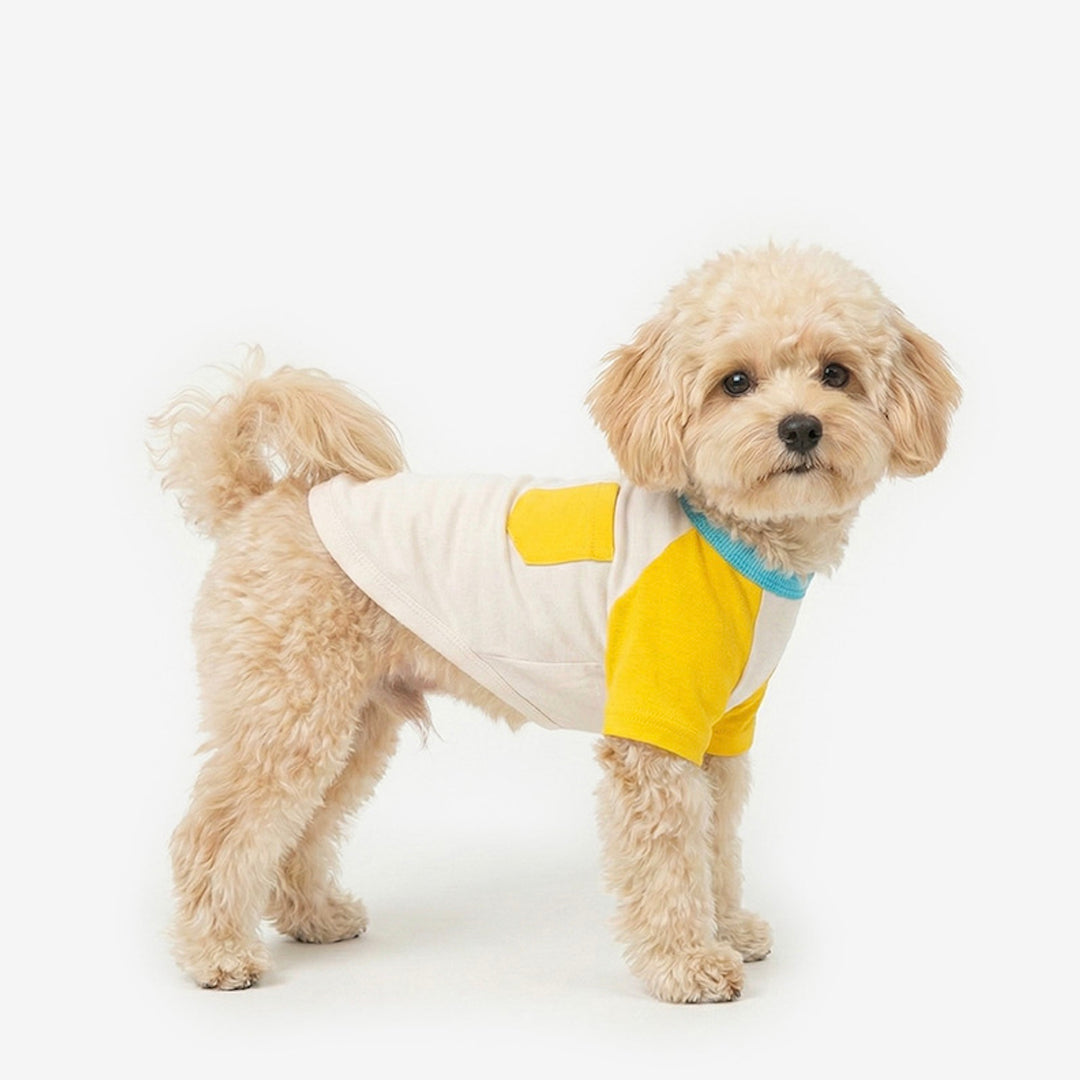 ※予約販売【TUSTUS】Block raglan tee（Yellow）