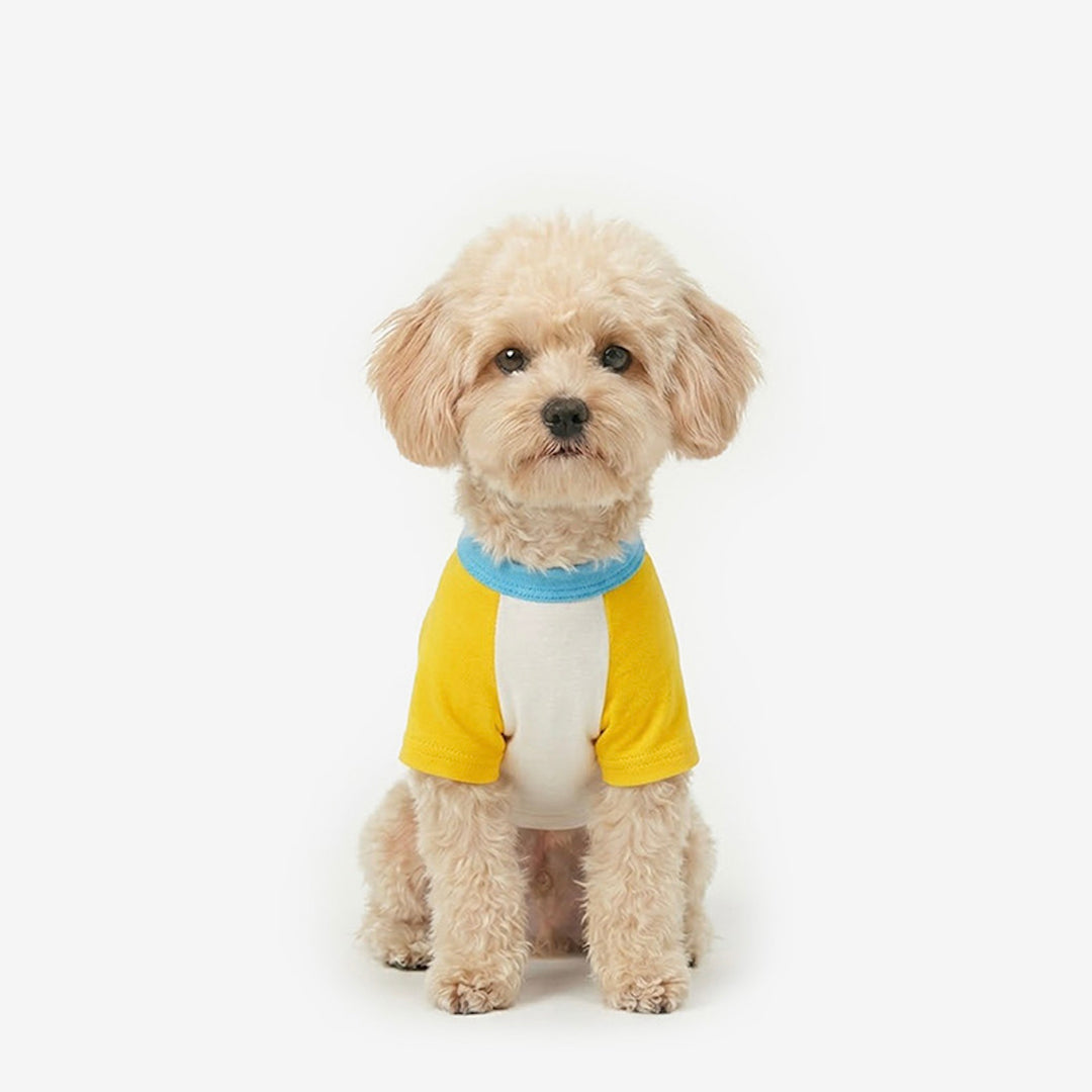 ※予約販売【TUSTUS】Block raglan tee（Yellow）