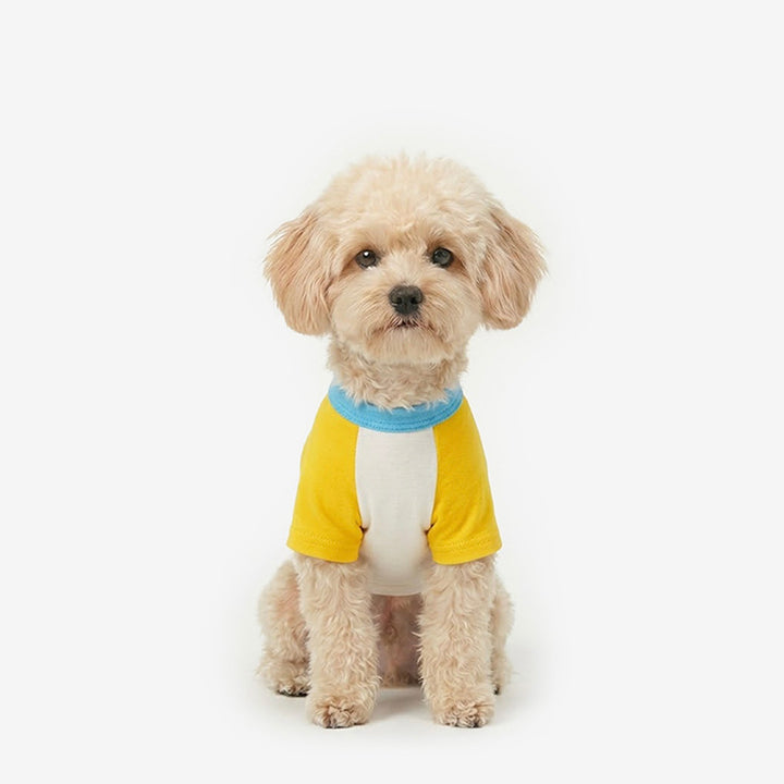 ※予約販売【TUSTUS】Block raglan tee（Yellow）