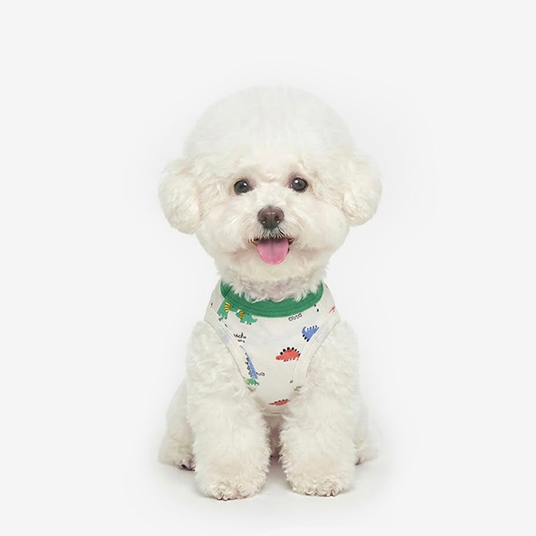 ※予約販売【TUSTUS】Dino friends sleeve