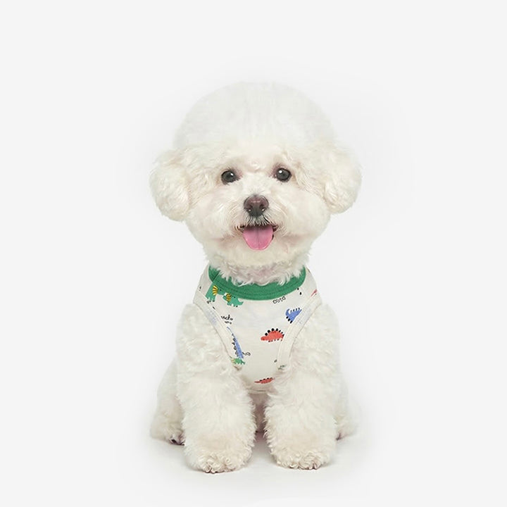 ※予約販売【TUSTUS】Dino friends sleeve