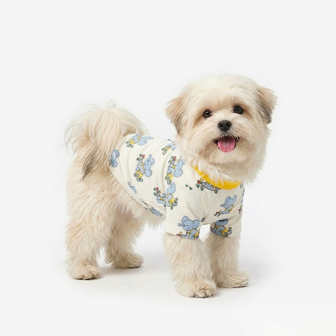 ※予約販売【TUSTUS】Blue elephant tee