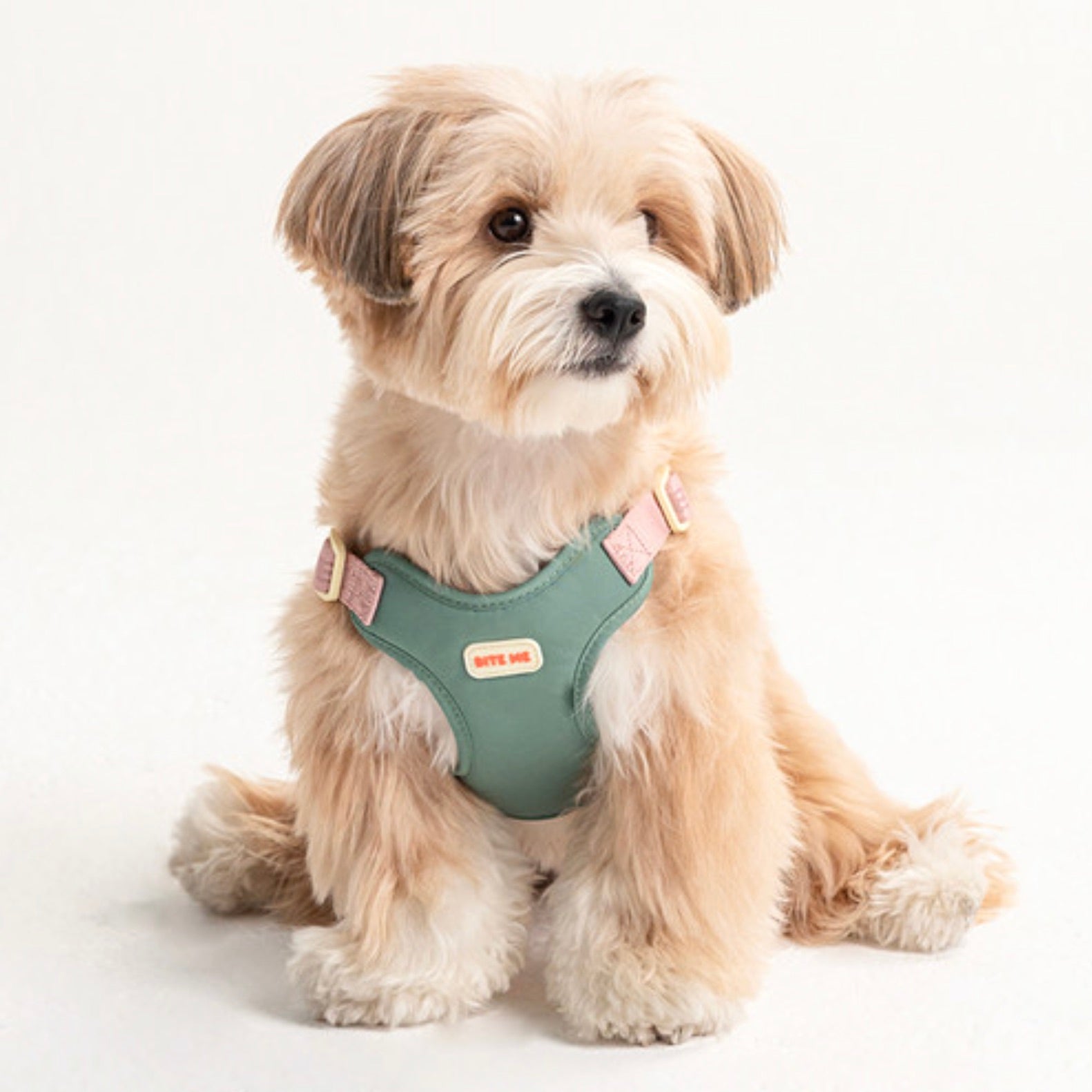 海外犬服 高品質なインポートのドッグウェア通販 