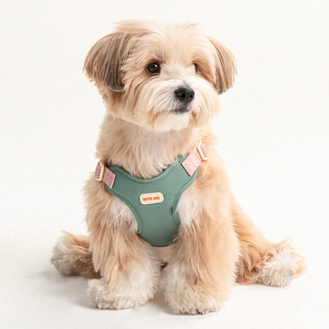即納【BITE ME】Comfort Harness v2（3 types）｜犬用ハーネス