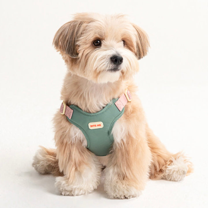 即納【BITE ME】Comfort Harness v2（3 types）｜犬用ハーネス